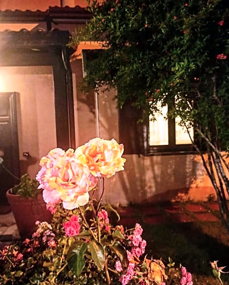 La quercia di Massena