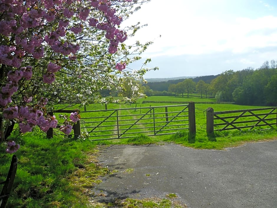 Moaps Farm B&B support small business, welcome, check in from 5 pm