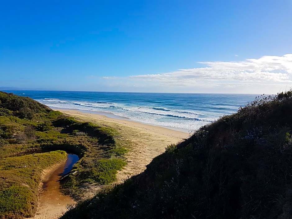 Forest view bungalow