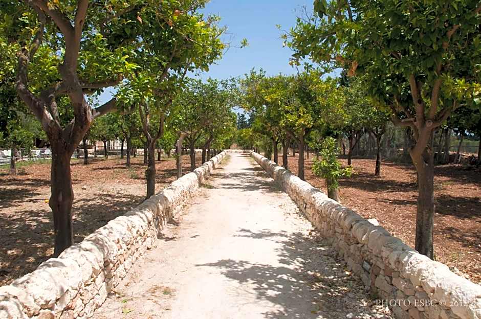 Baglio Siciliamo Country House