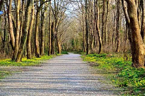 Zoe Bistro & Accommodation