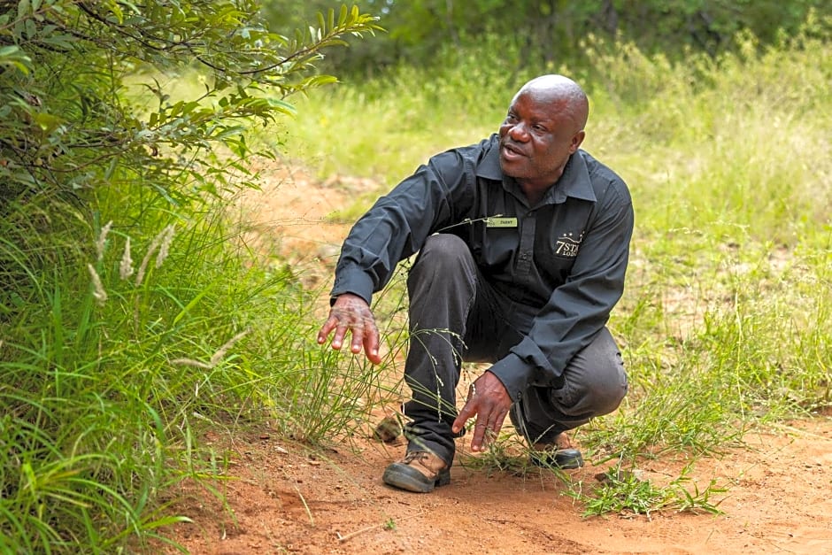 Oase by 7 Star Lodges - Greater Kruger Private 530ha Reserve