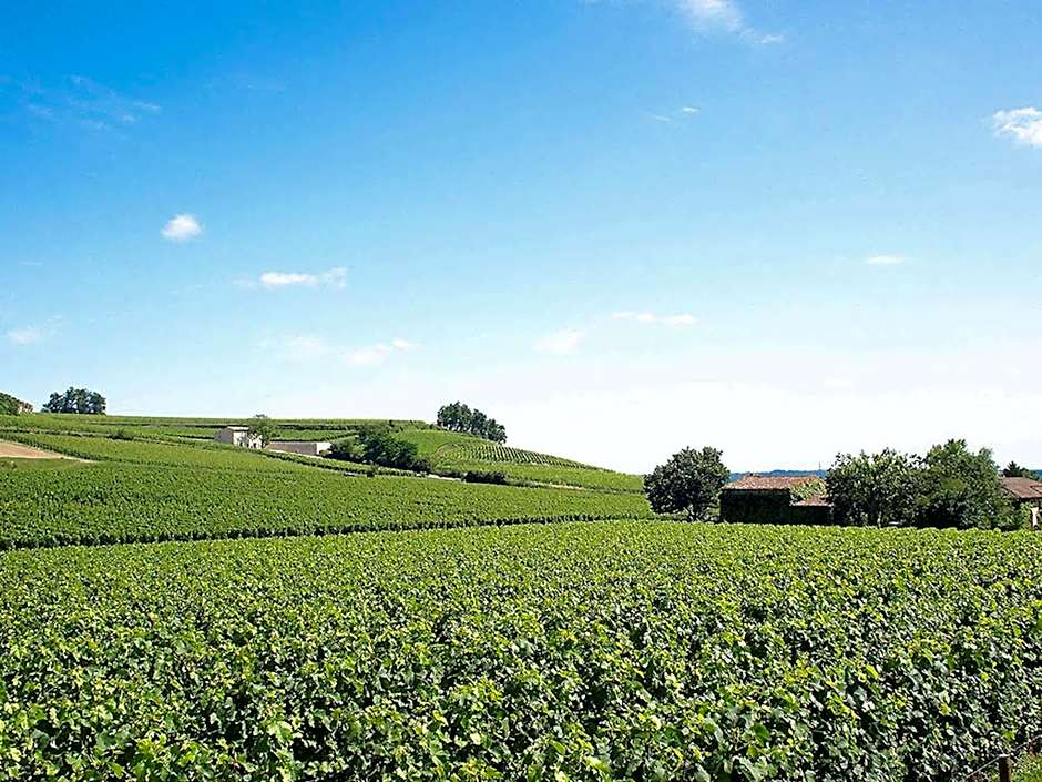 ibis Bordeaux Saint Emilion