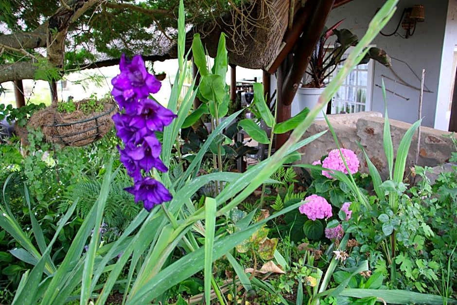 Outeniquabosch Lodge