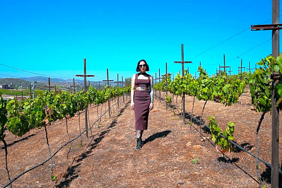 Bajo Estrellas Hotel Contemporáneo