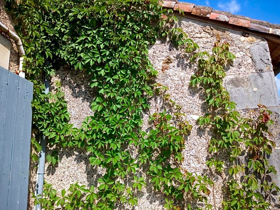 Le Petit Cochon chambre d` hotes