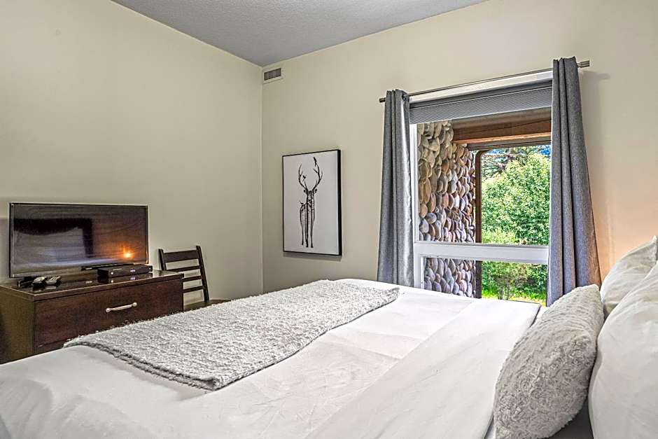 Outstanding Mountain Condo WATERSLIDE and HOT TUB managed by Little Sister Getaways