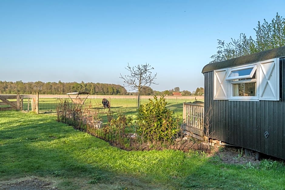 Pipowagen Lidewei Groningen Westerwolde unieke ligging met eigen tuin en vrij uitzicht over veld naar natuurgebied