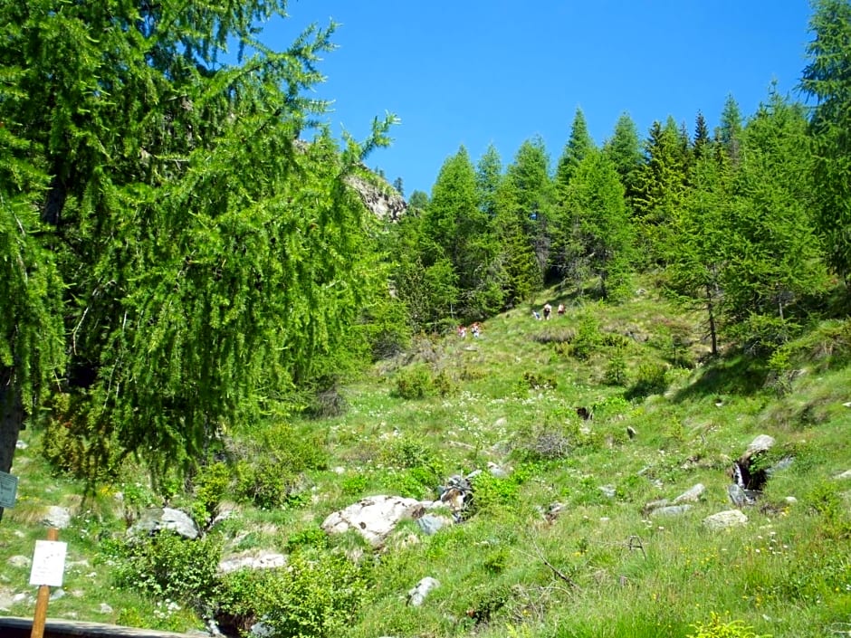 Le Temps d'une Pause