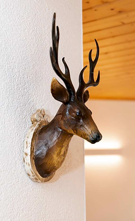 Appartements und Ferienhaus Gasthof Kanzlersgrund