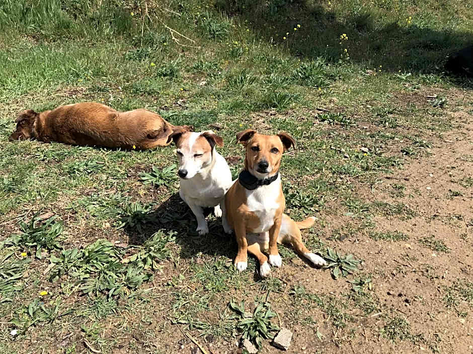 Locations insolites "vie en plein air" cabane et tipi Bastide Bellugue maison d'hôtes reseau Bienvenue à la ferme à 3 mn de lourmarin