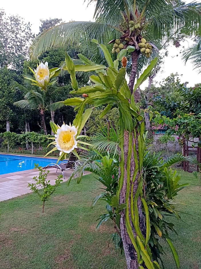 Quintas do Arraial Guest House