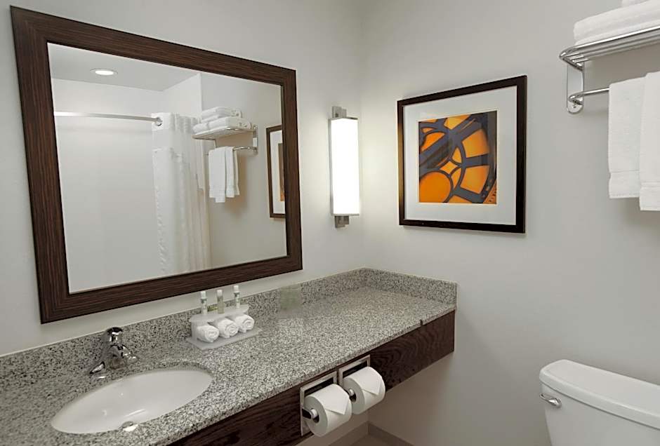 Holiday Inn Express & Suites Omaha South Ralston Arena By IHG