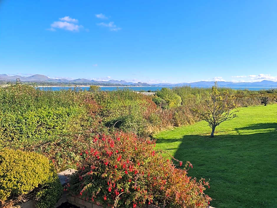 Pine Lodge @Puffin Lodges