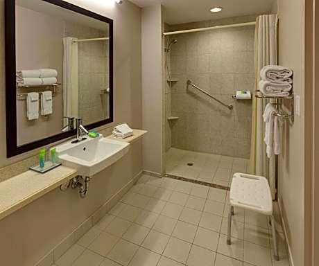 Standard Queen Room with Mobility Accessible Roll-In Shower