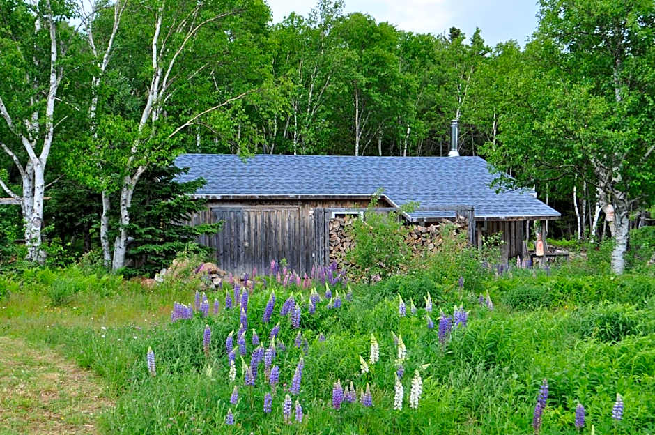 The Sleeping Moose Cottage