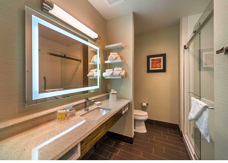 Hampton Inn By Hilton & Suites - Reno West, NV