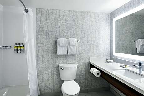 1 Queen Bed Extended Stay Suite Non-Smoking