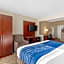 Comfort Suites Normal University area