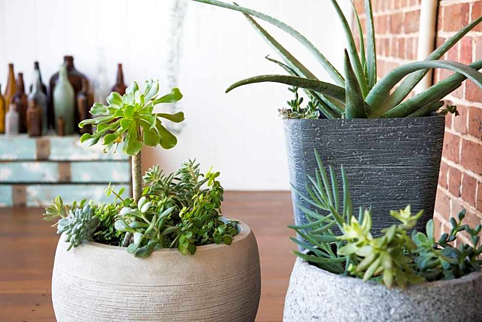 The Parkview Hotel Mudgee