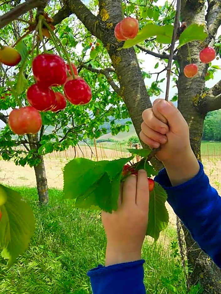 Cascina Valtignosa Camere Con Vigna