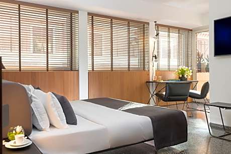 Deluxe Double or Twin Room with Terrace