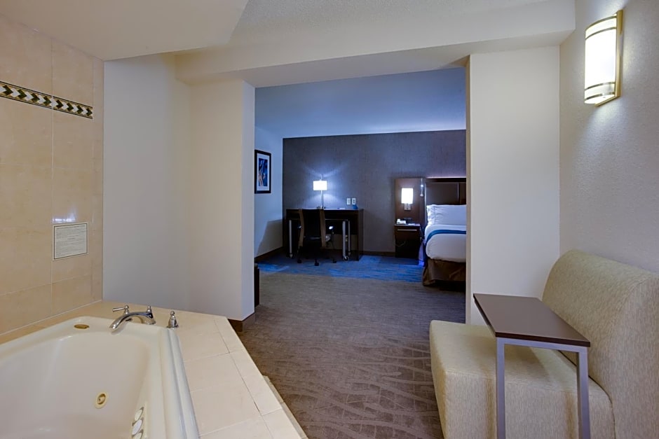 Holiday Inn Express Hotel & Suites Meadowlands Area