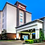 Hampton Inn By Hilton And Suites Houston I-10/Central