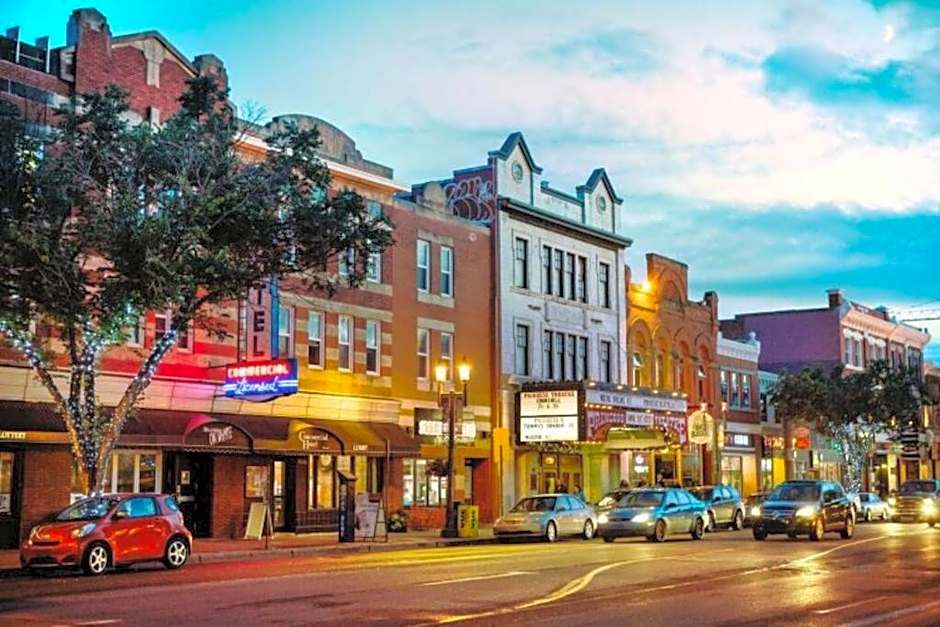 Executive Bsmt Suite, King Bed, 5 min to DT & Whyte Ave, Sleeps 6!