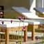 Wellness Hotel Stoos