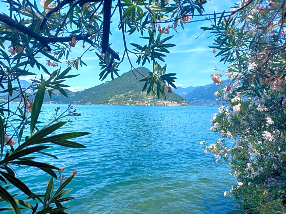 L'Oleandro sul Lago d'Iseo B&B