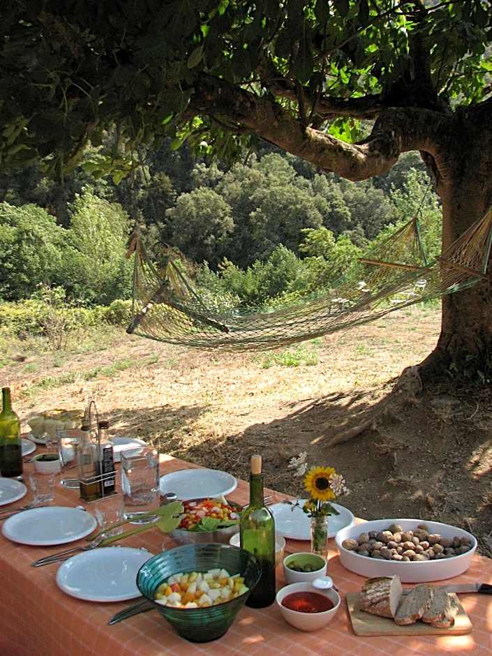 Bed and Breakfast Casanova de Sant Miquel