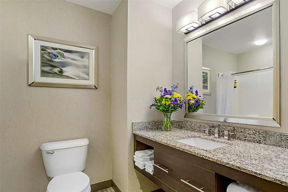 Best Western Plus River Escape Inn & Suites