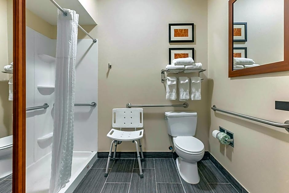 Comfort Suites - Southgate Detroit