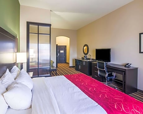 1 King Bed, Suite, Nonsmoking