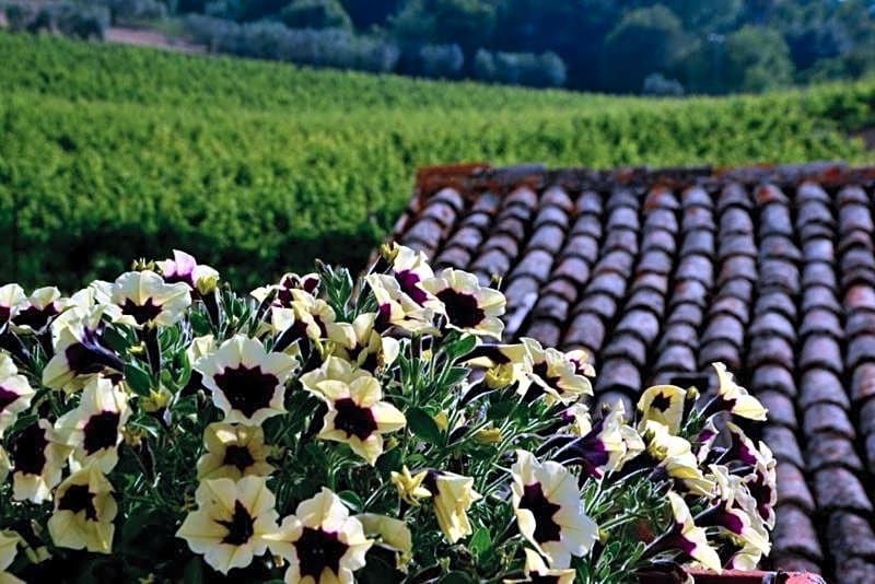 B&B Casale Fonte Vecchia – Monteprandone, MO