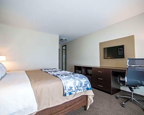 1 King Bed, Nonsmoking, Accessible