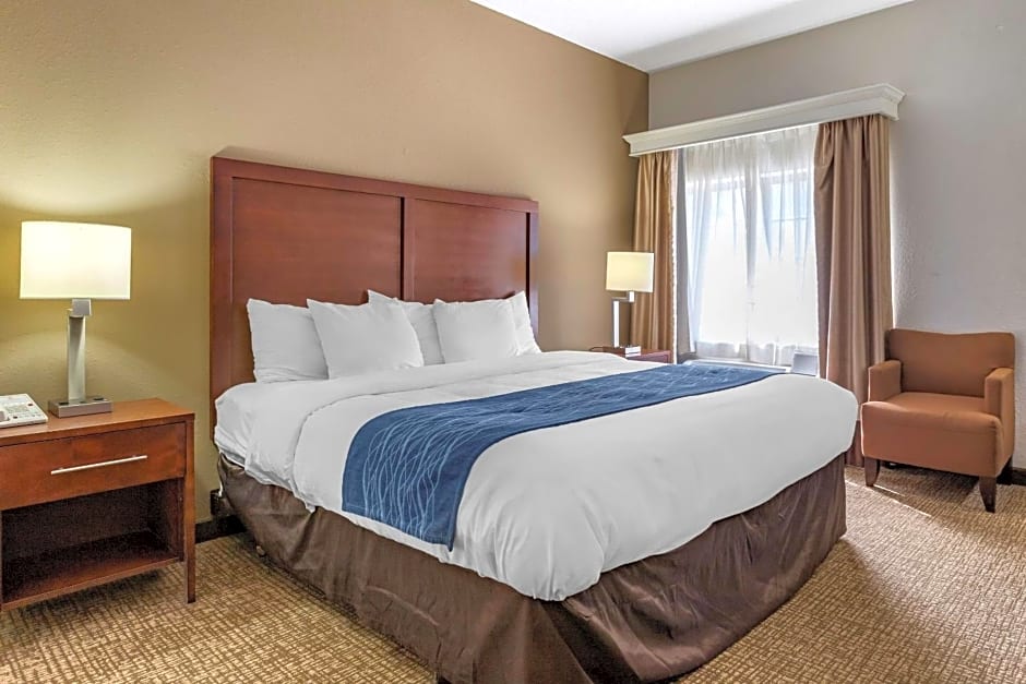 Comfort Inn Downtown - University Area