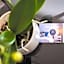 Appartements an der Therme