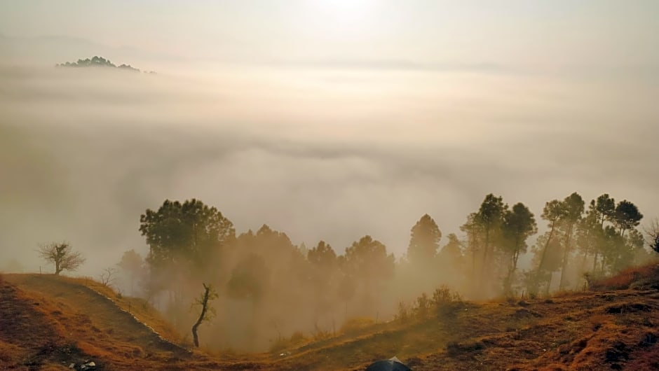 Adaara Retreat - Pet Friendly Cottages