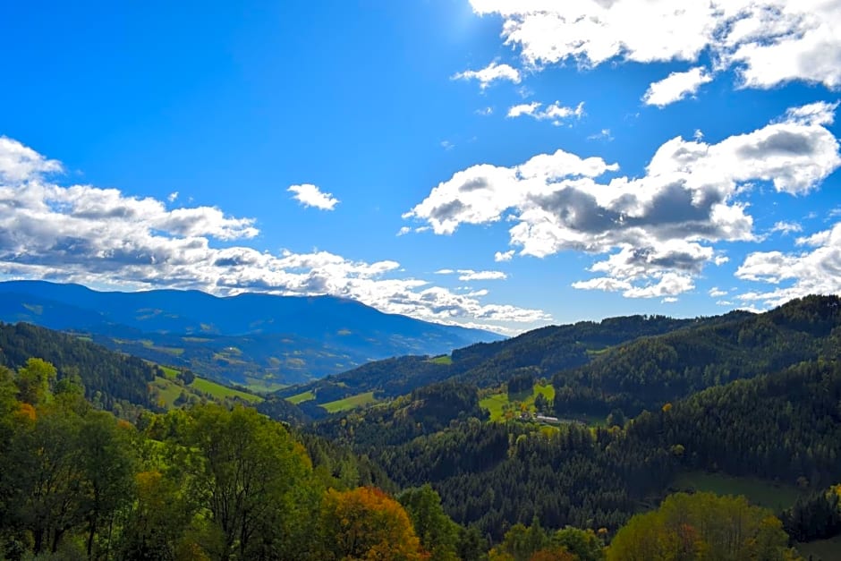 Ferienhaus Schleinzer