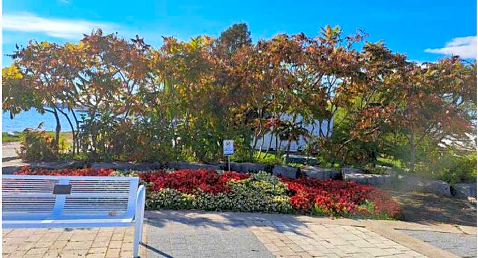 Private room with TVnetflix and free parking