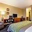 Comfort Inn Garden City