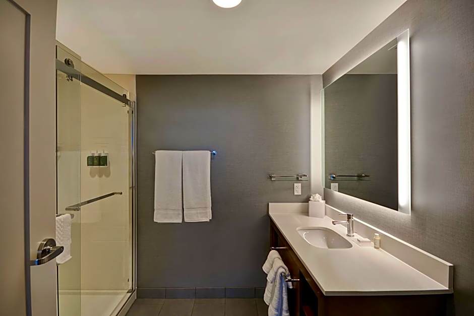 Residence Inn by Marriott New Orleans French Quarter Area/Cen B