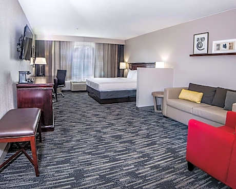 Studio King Suite with Sofa Bed