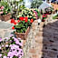B&B Villa Cristina