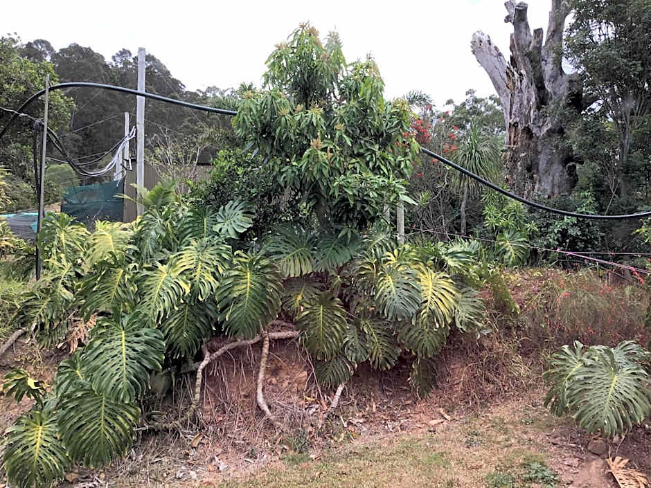 Rossmount Rural Retreat