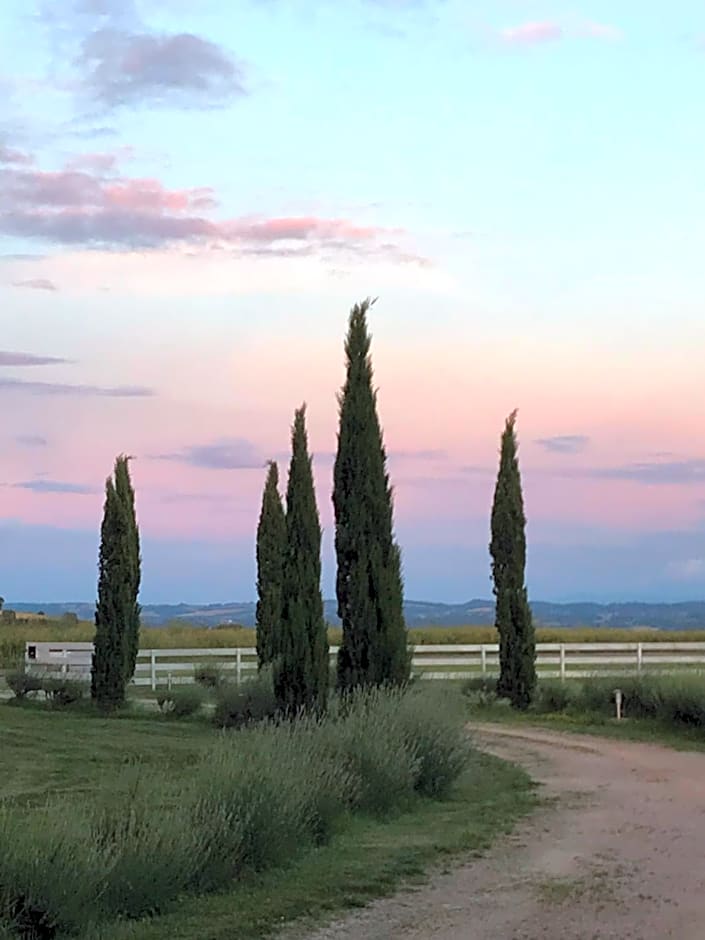 residence la Salamandre kamers