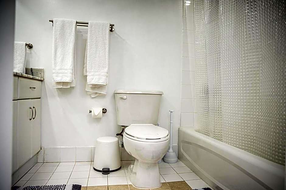 Modern and Luxurious Brickell Studio