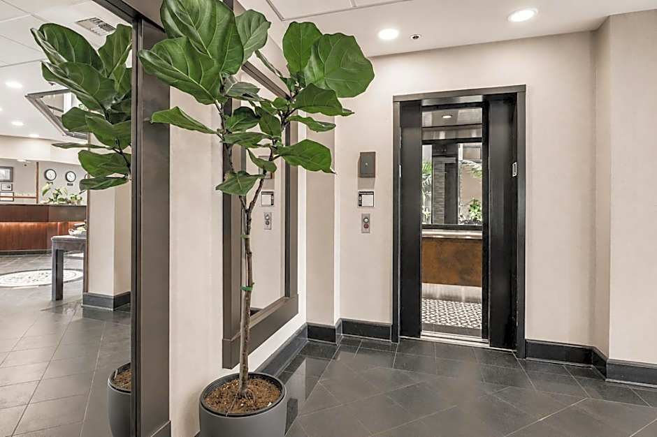 Hotel International